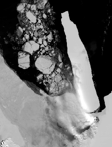 [MODIS Image of B15A iceberg in the Ross Sea, Band 1, 620-670nm, 250m res., Dec.8, 2001]